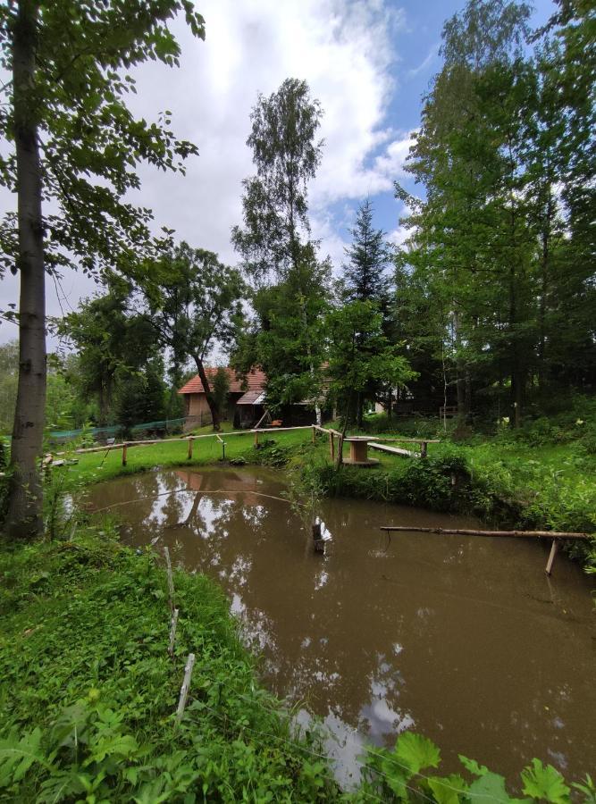 Agroturystyka Zielona Dolinka Stryszow 外观 照片